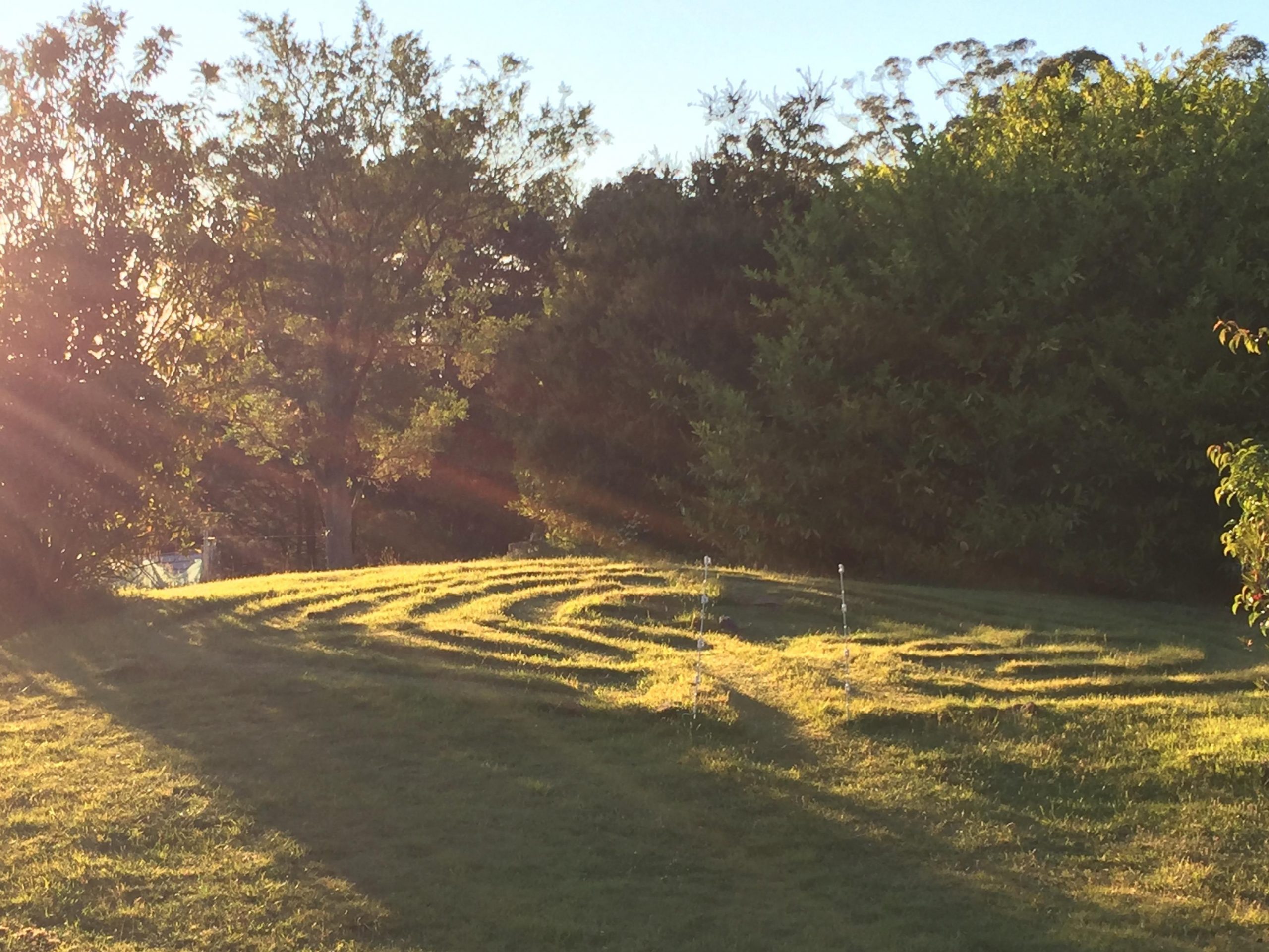 Ancient Moving Meditation Workout