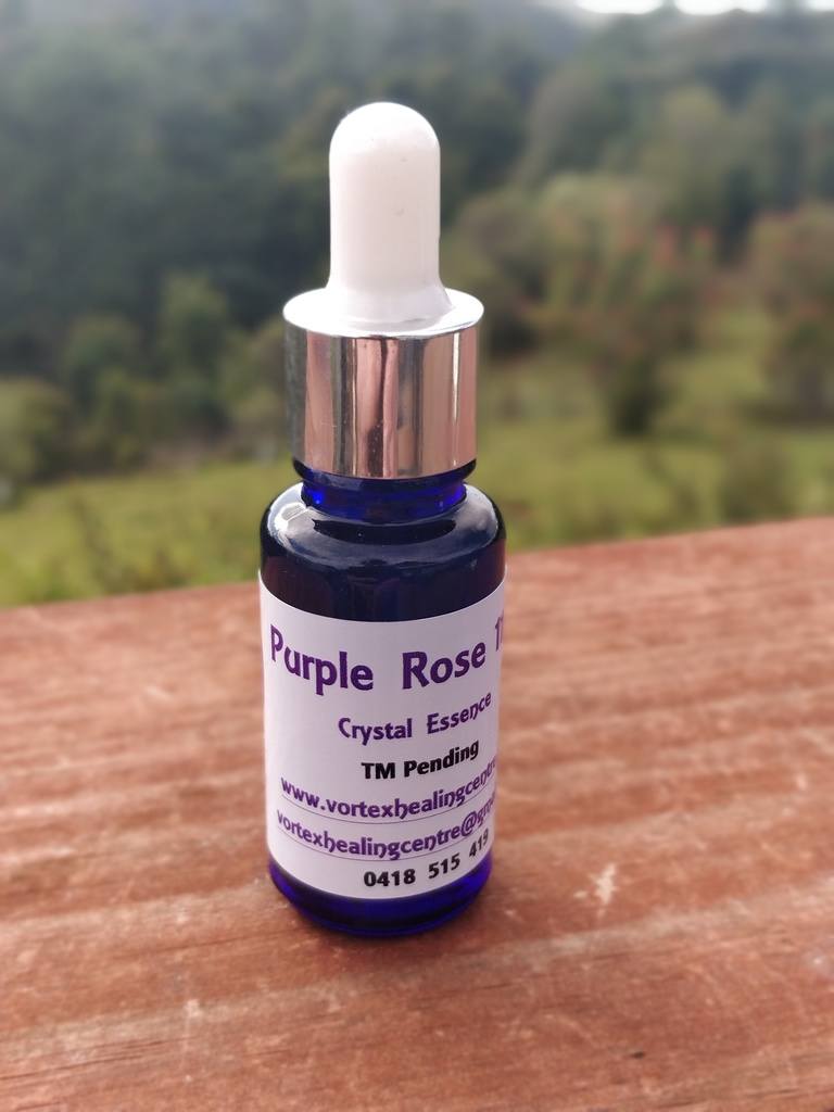 Purple Rose 11/11